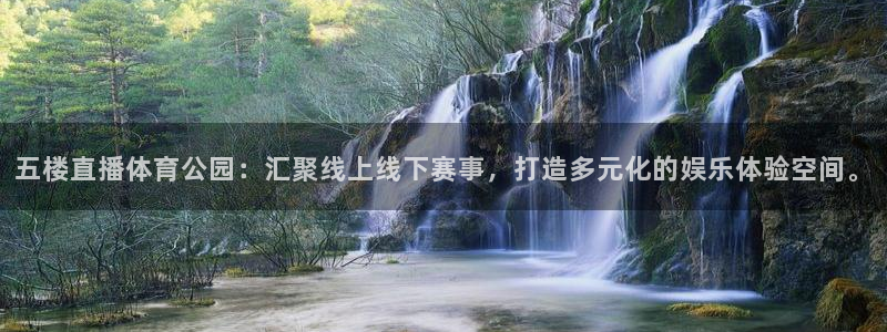 袋鼠直播