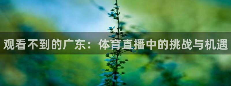 袋鼠体育nba直播：观看不到的广东：体育直播中的挑战与机遇