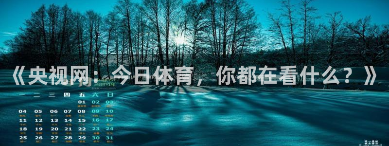 袋鼠直播nba在线观看：《央视网：今日体育，你都在看什么？》