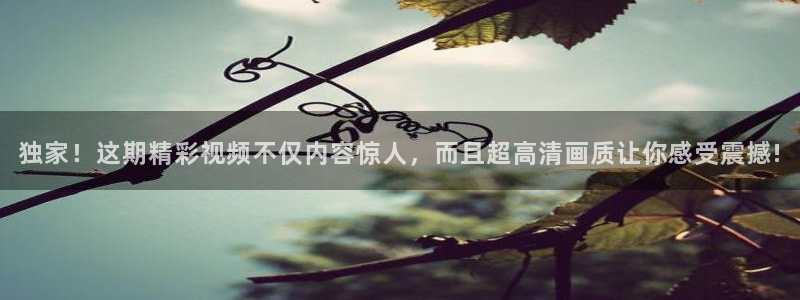 袋鼠在线直播体育