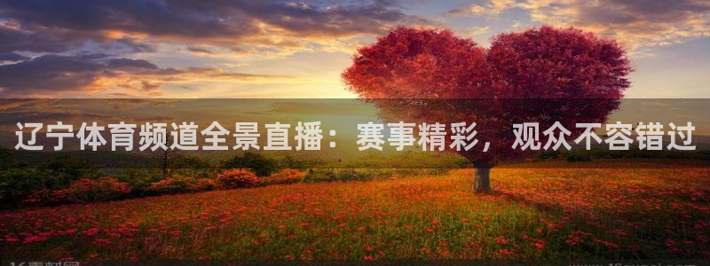 袋鼠直播在线观看nba：辽宁体育频道全景直播：赛事精彩，观众不容错过