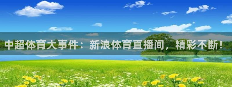 袋鼠直播看球：中超体育大事件：新浪体育直播间，精彩不断！
