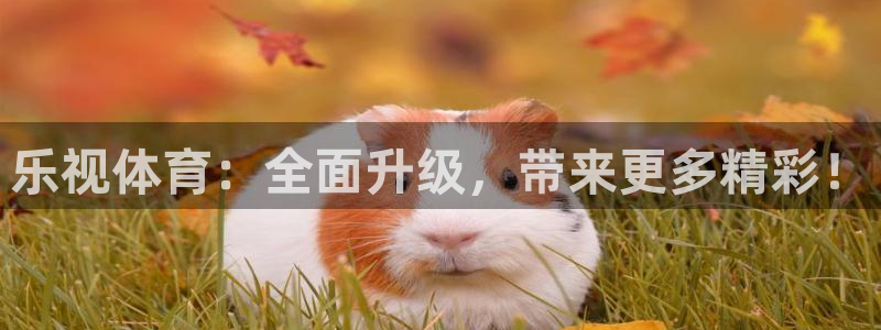 袋鼠体育直播下载：乐视体育：全面升级，带来更多精彩！