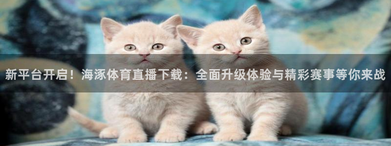 袋鼠体育免费直播：新平台开启！海涿体育直播下载：全面升级体验与精彩赛事等你来战