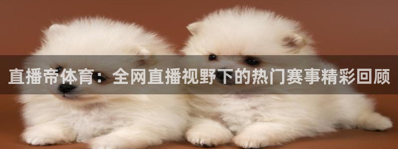袋鼠体育在线直播免费：直播帝体育：全网直播视野下的热门赛事精彩回顾